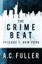 [The Crime Beat 01] • New York